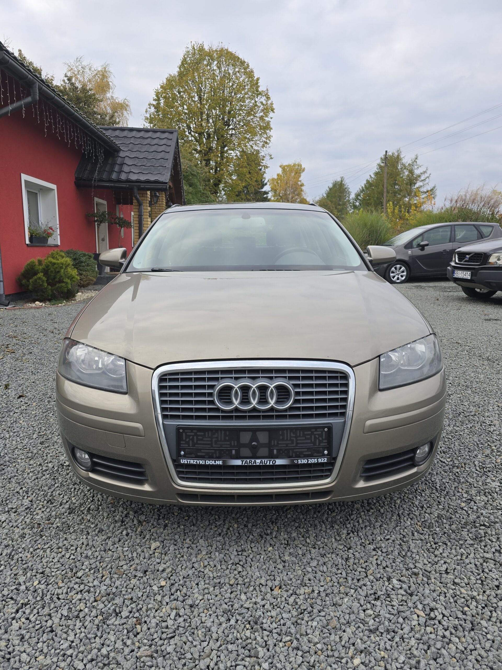 
								Audi a3 8p 1.9TDI Dsg full									