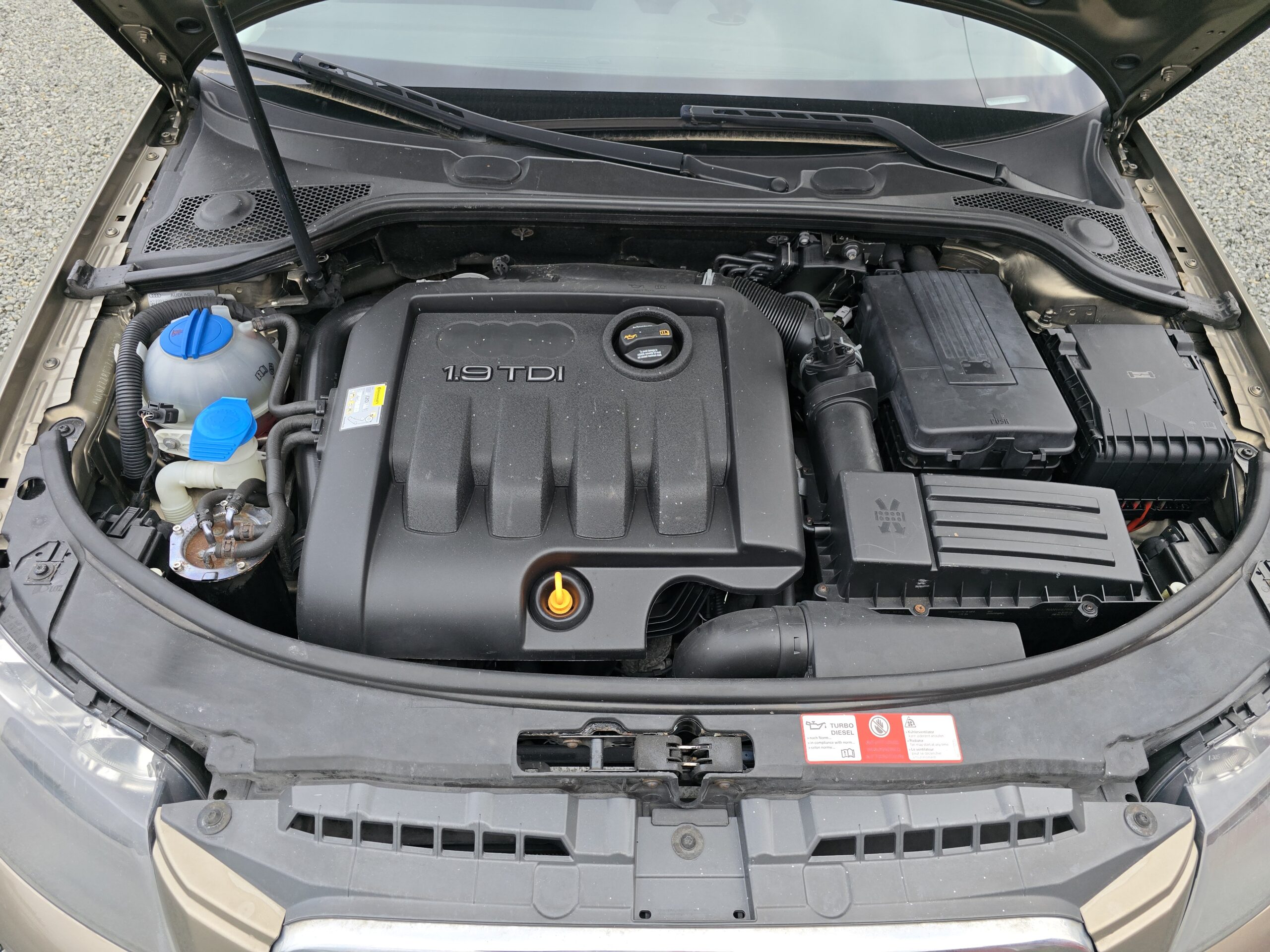 
								Audi a3 8p 1.9TDI Dsg full									