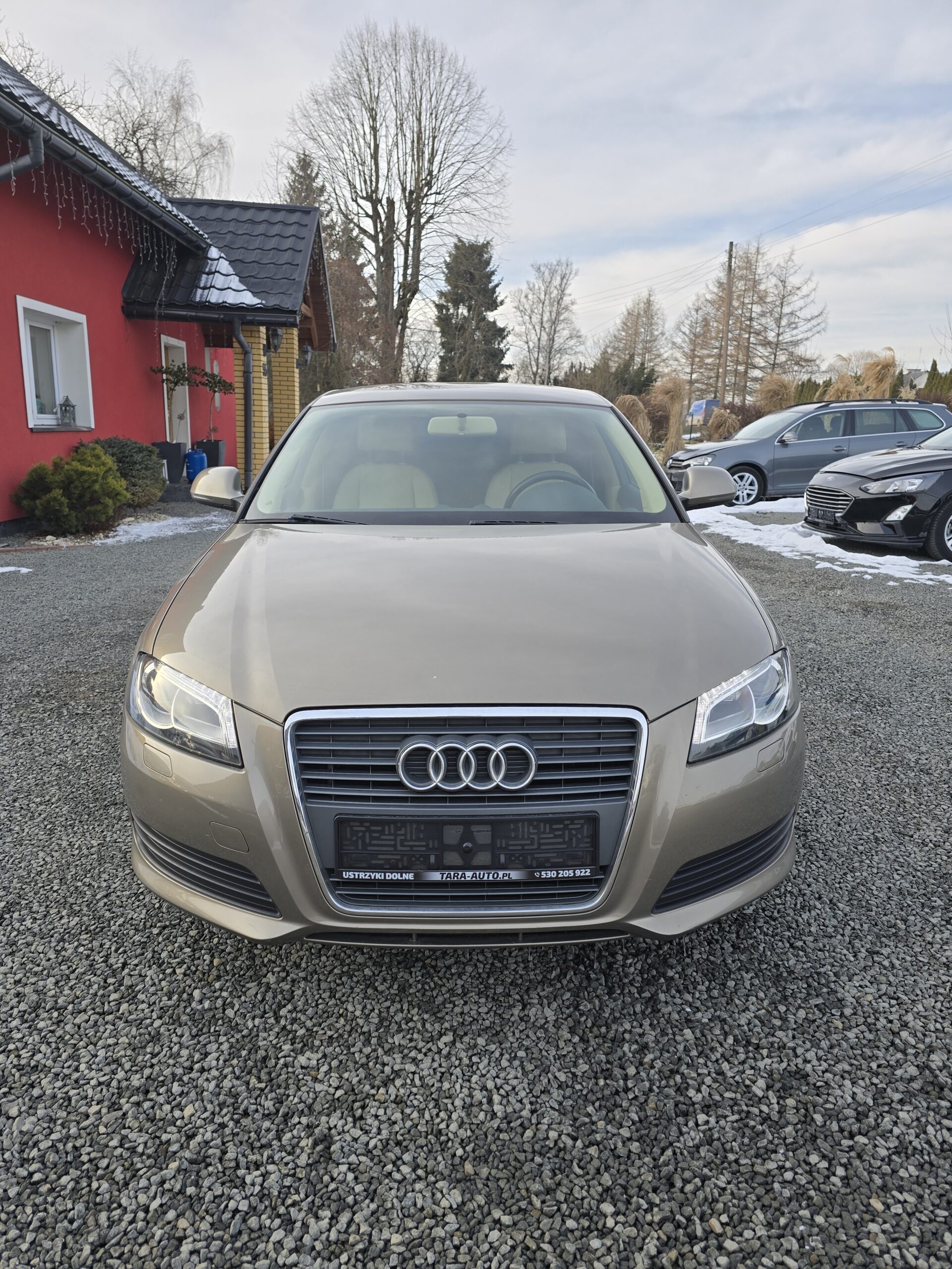 
								Audi A3 8p 2.0 TDI Ideał! full									