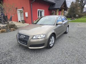Audi A3 8p 2.0 TDI Ideał!