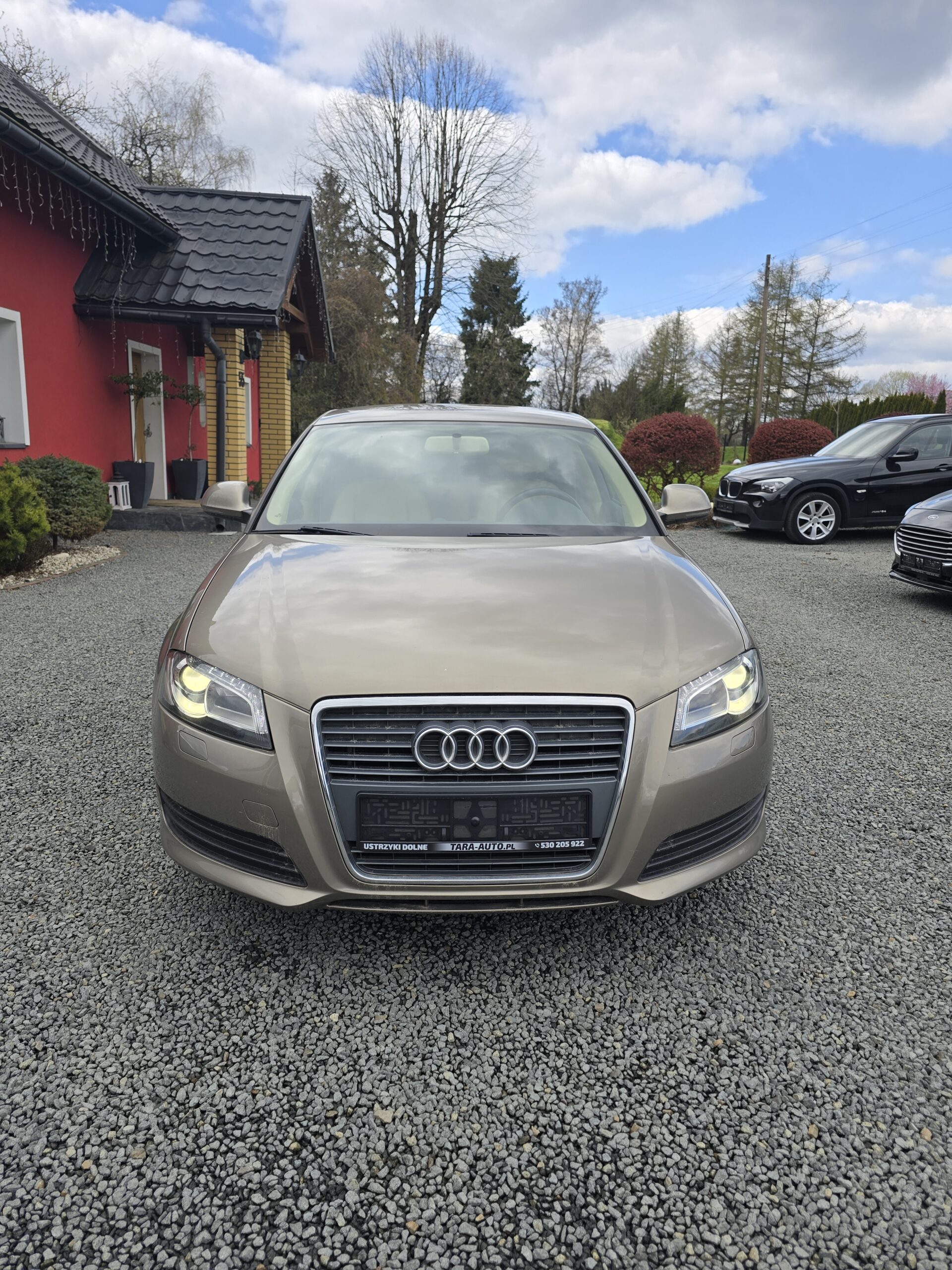 
								Audi A3 8p 2.0 TDI Ideał! full									