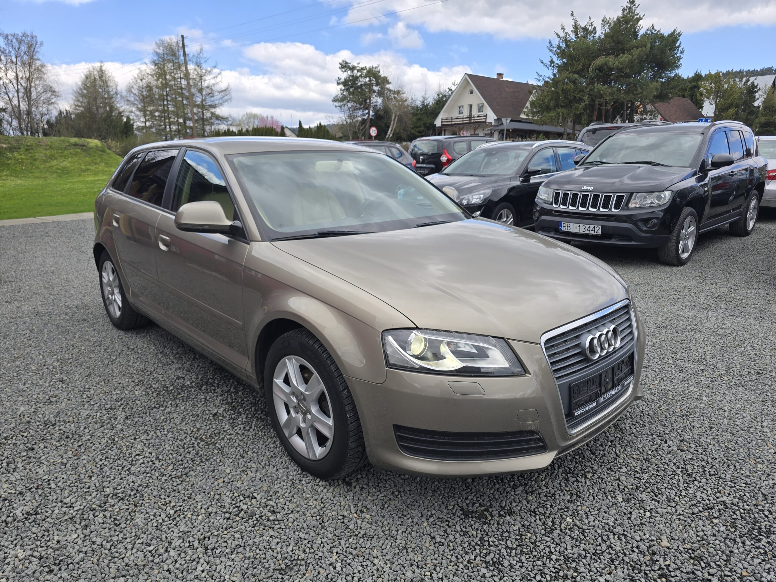 
								Audi A3 8p 2.0 TDI Ideał! full									